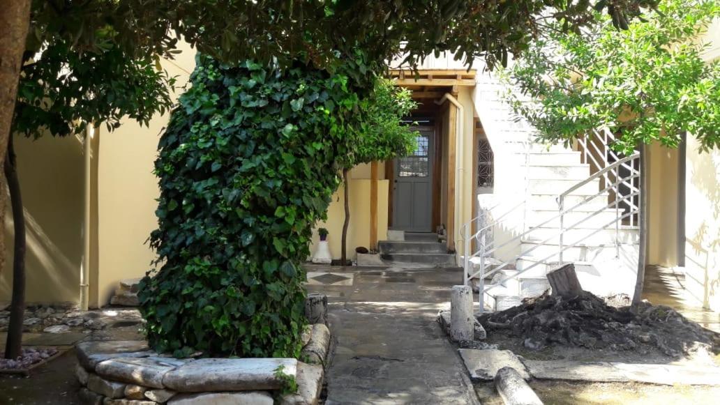 A Painter'S House In Plaka Apartment Athena Bagian luar foto
